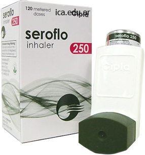 cheap seroflo 250mcg on-line